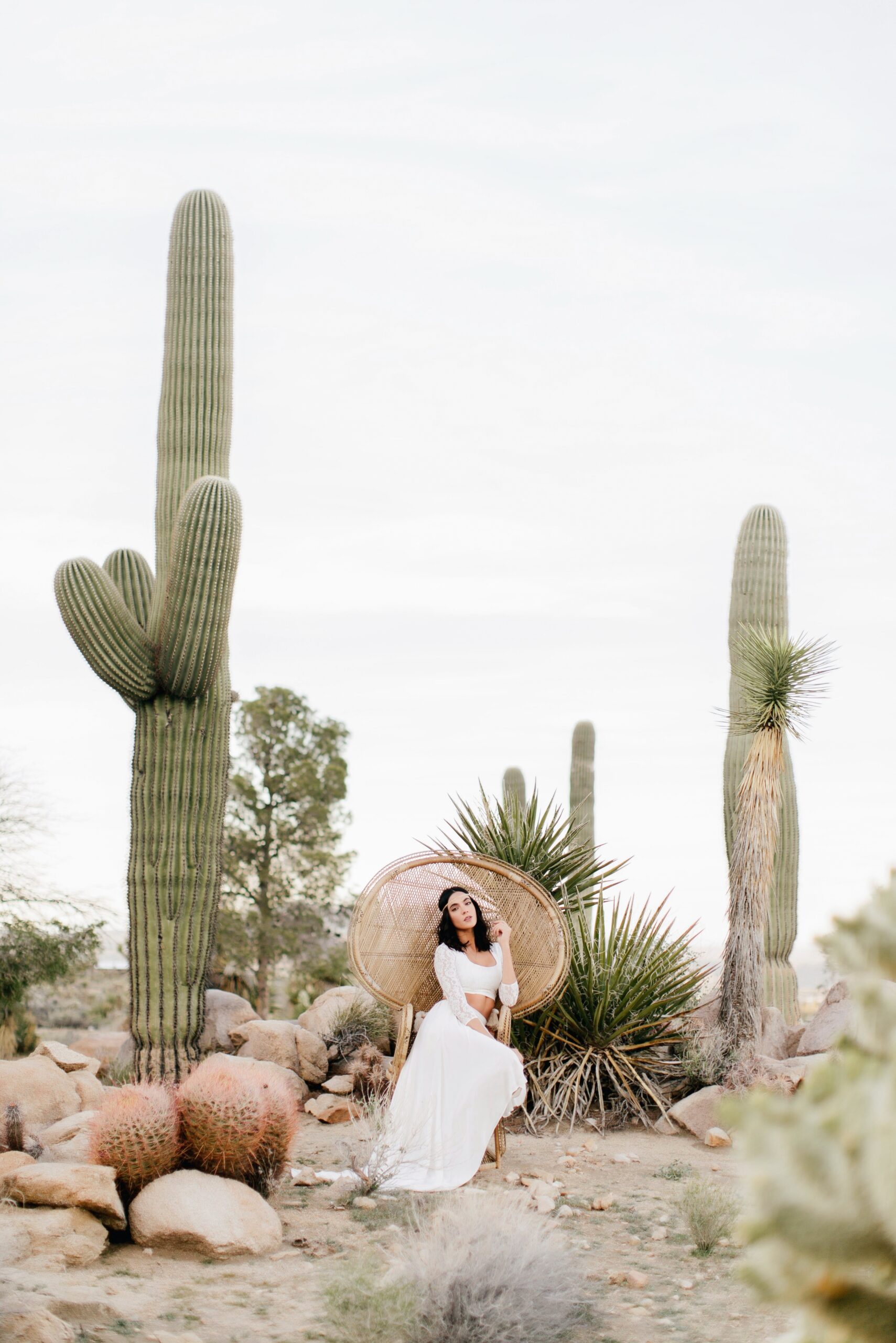Bride amongst cacti at a desert destination wedding