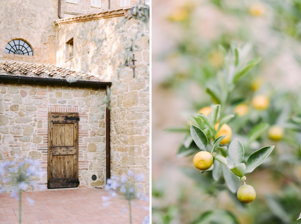 Lemon tree and stone walls at the Borgo Sant'Ambrogio estate in Italy