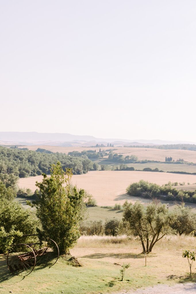 Fields of Tuscany's Val D'Orcia natural reserve in Italy