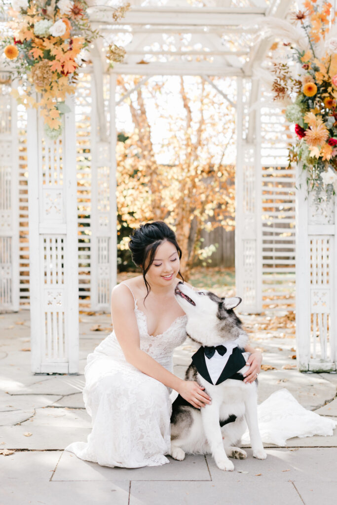 bride with her pet husky in a tux by Emily Wren Photography