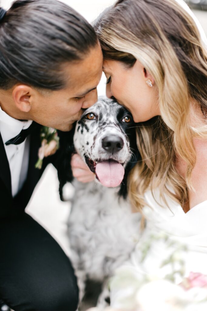 bride & groom with their dog before Early summer wedding ceremony