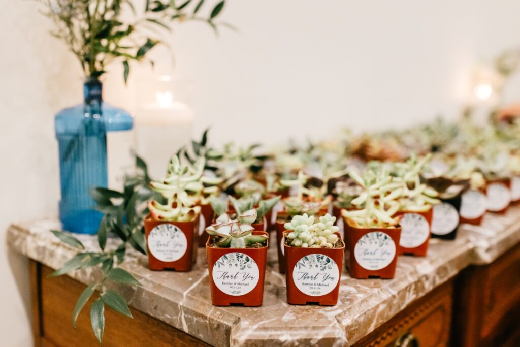 plant wedding favors by Emily Wren Photography