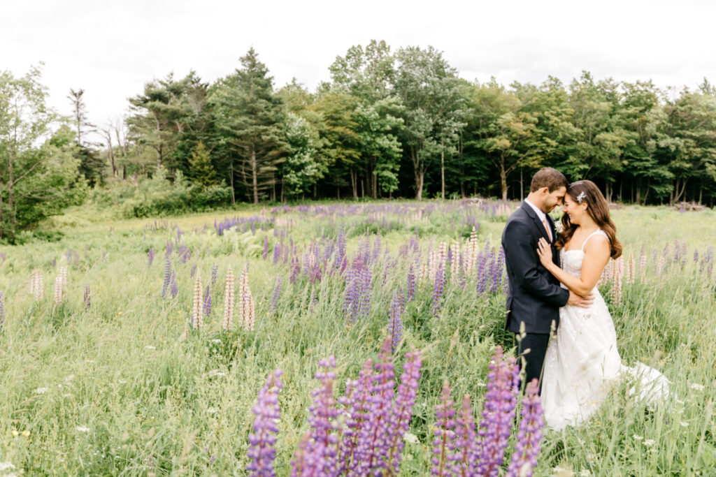 bride & groom in lupine flower field in Vermont