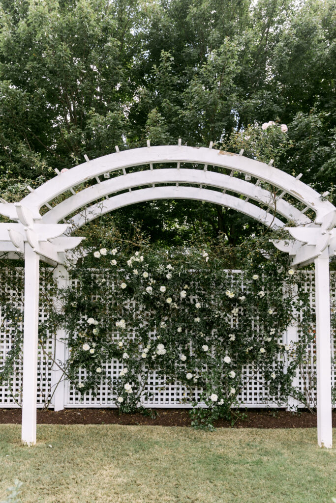 greenery and white rose backdrop for wedding ceremony alter