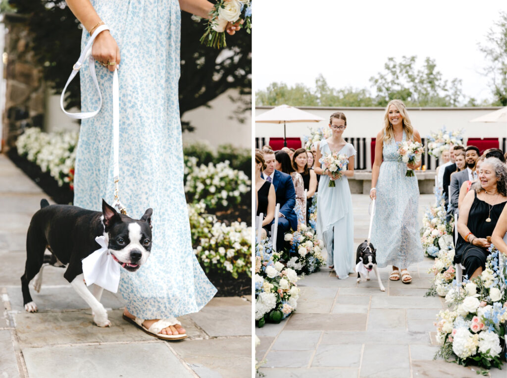 dog flower girl at outdoor summer wedding ceremony at the Ryland Inn by Emily Wren Photography