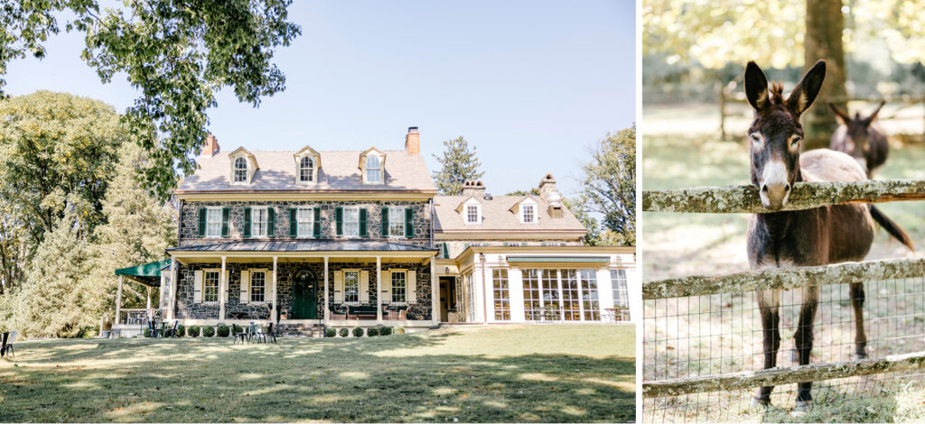 Grace Winery and farm animals by Emily Wren Photography