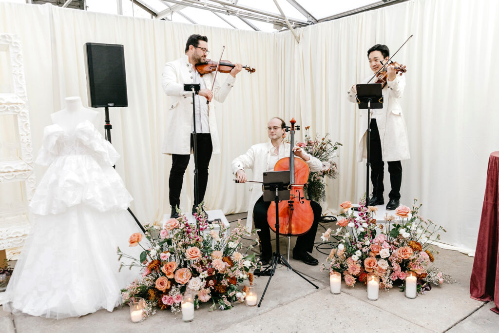 victorian inspired string quartet