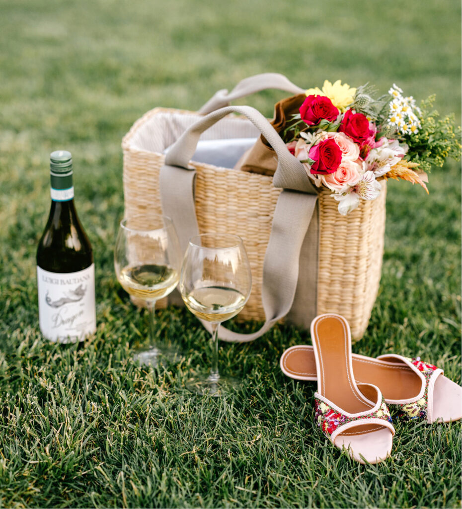 engagement picnic photoshoot